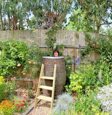 LARGE 500 L GIANT OAK WOODEN